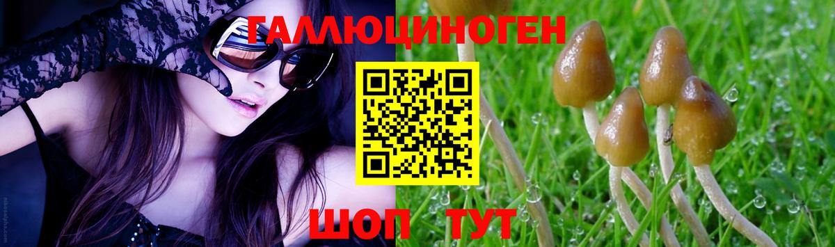 Галлюциногенные грибы GOLDEN TEACHER Углич